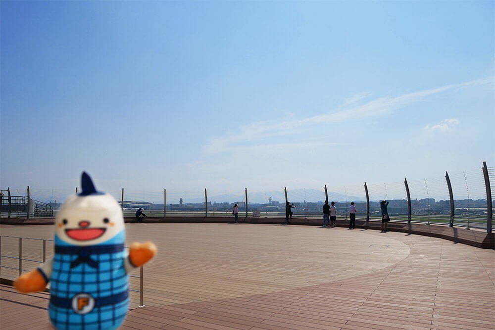 福岡空港の展望デッキで笑顔のフータ