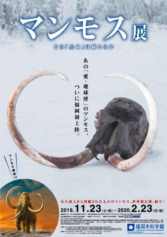 福岡市科学館 特別展『マンモス展 その「生命」は蘇るのか』との相互割引企画