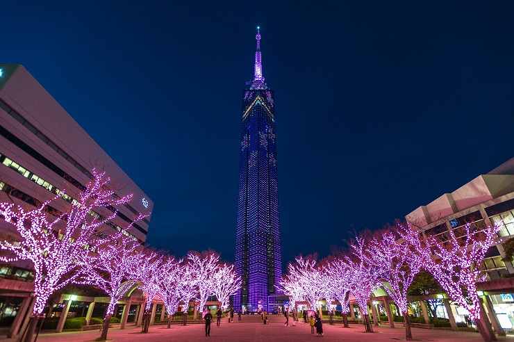 Cherry tree in full bloom! Spring Events at Fukuoka Tower