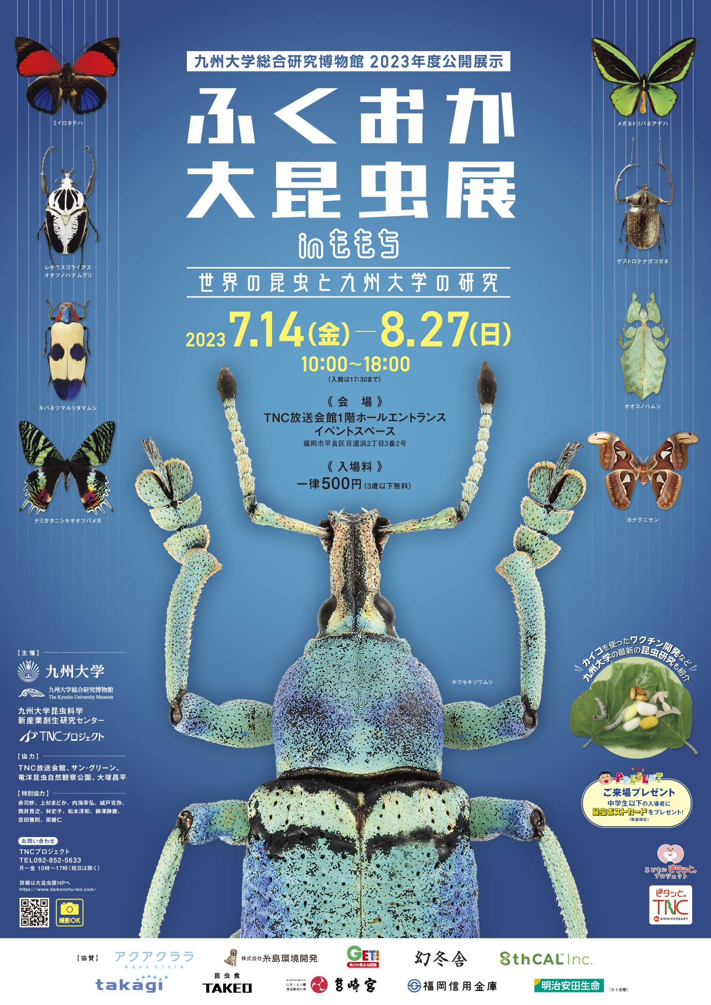 ＴＮＣ放送会館で開催の「ふくおか大昆虫展inももち」との特典・割引企画