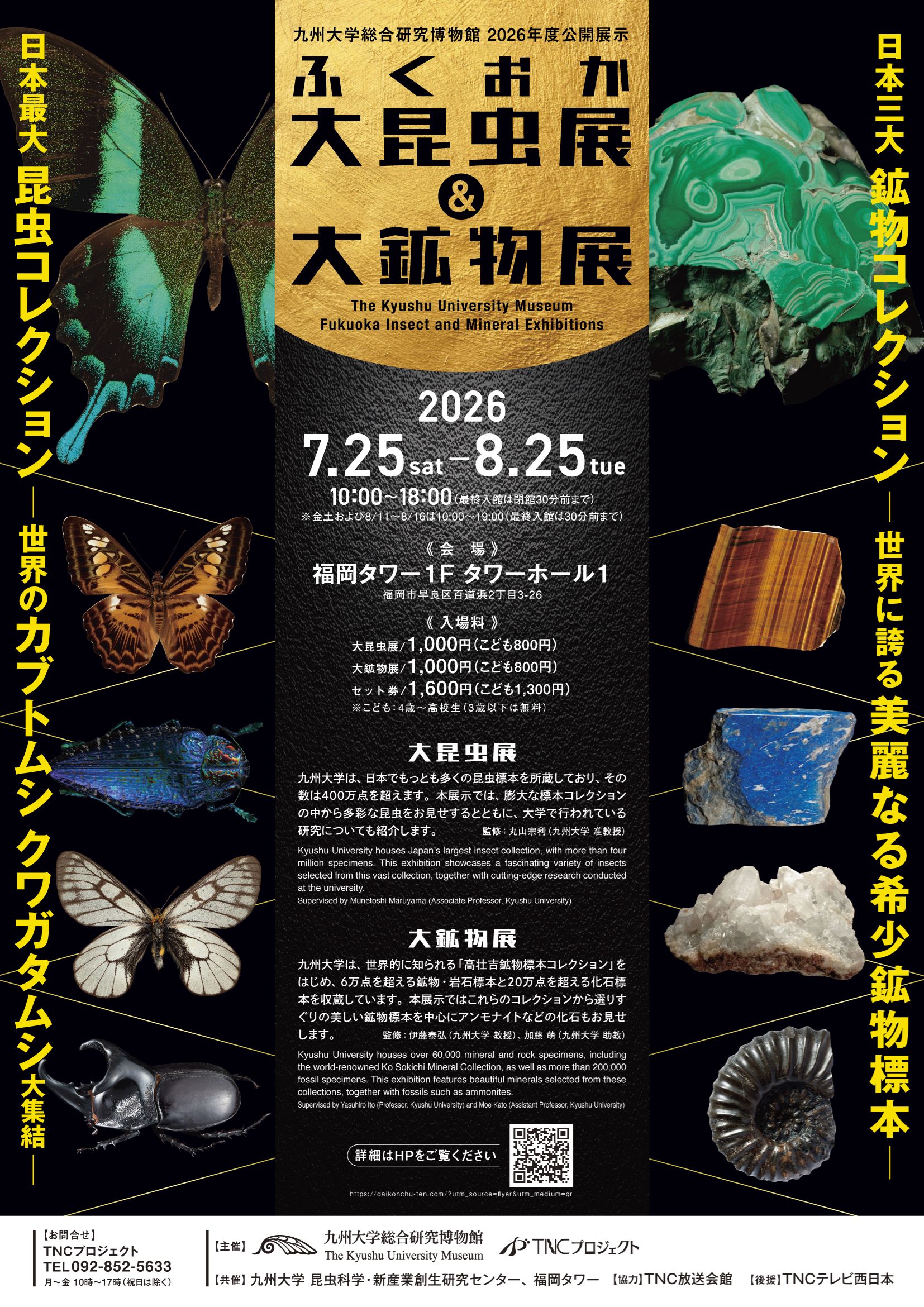 ふくおか大昆虫展＆大鉱物展 2026 開催！